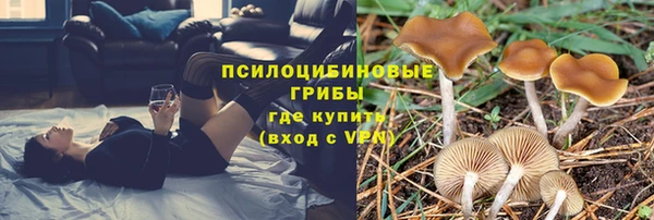 PSILOCYBIN Верея